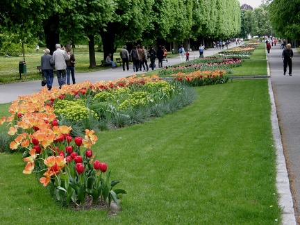 hlavni alej
