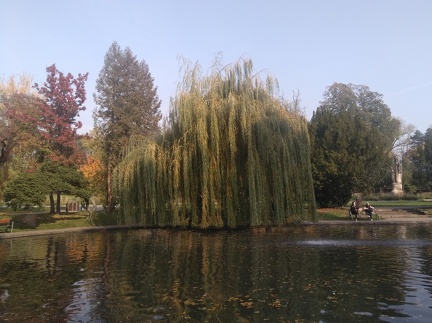 park-podzim-25102019_03